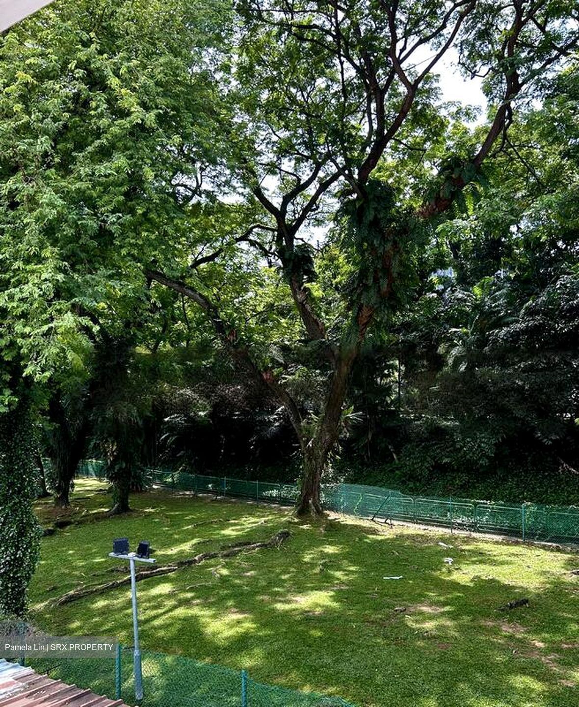 Blk 81 Tiong Bahru Estate (Bukit Merah), HDB 3 Rooms #504117221